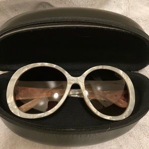 Black Fly Sunglasses - Shiny Fly